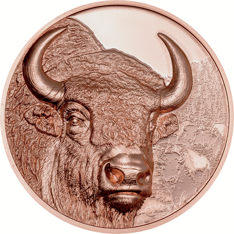 モンゴル 2025年 バイソン 250トグログ銅貨 プルーフライク(ウルトラ
