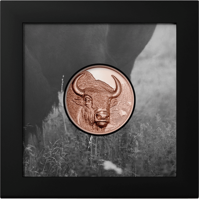 モンゴル 2025年 バイソン 250トグログ銅貨 プルーフライク(ウルトラ