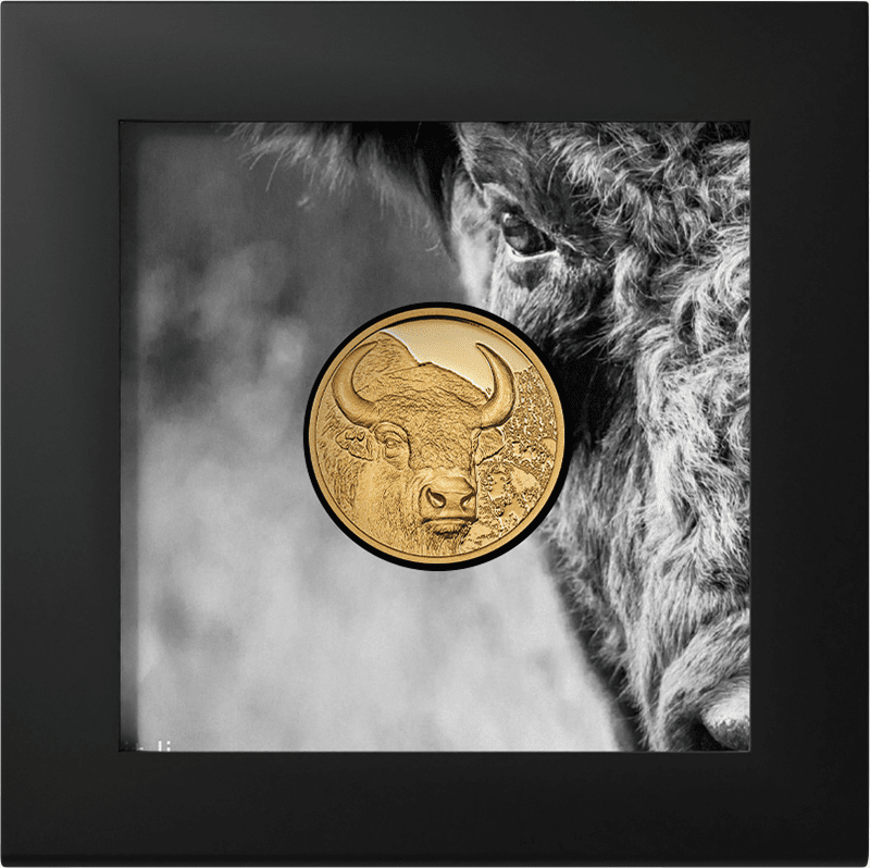 2025年モンゴル バイソン プルーフ銀貨（ハイレリーフ） モンゴル 2025年 バイソン (野生動物 ウルトラハイレリーフ 最終貨