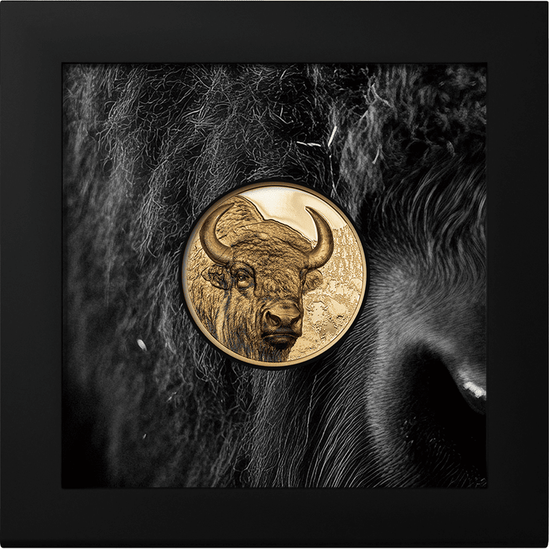 2025年モンゴル バイソン プルーフ銀貨（ハイレリーフ） モンゴル 2025年 バイソン (野生動物 ウルトラハイレリーフ 最終貨