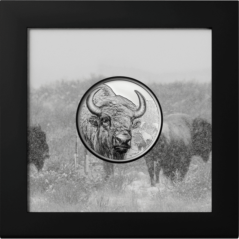 モンゴル 2025年 バイソン (野生動物 ウルトラハイレリーフ 最終貨