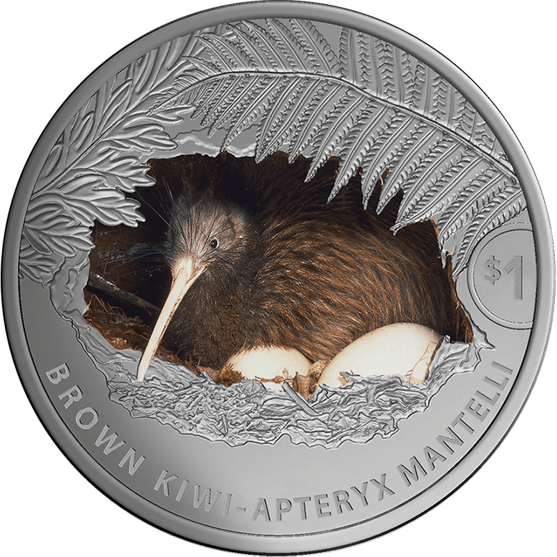 ニュージーランド 21年 ブラウンキーウィ 1ドルカラー銀貨 プルーフ オンラインショップ 泰星コイン株式会社