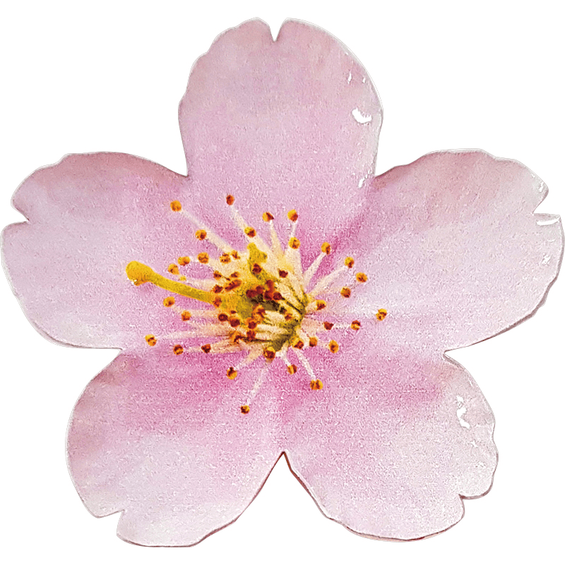 2021 ニウエ 世界の花シリーズ バラ エナメル付2ドル花型カラー銀貨