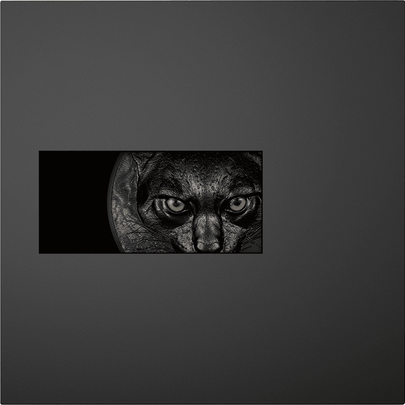 供給元問合せ】パラオ 2025年 夜のハンター オセロット 50ドルカラー