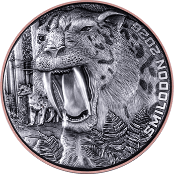 今月の注目商品 | オンラインショップ | 泰星コイン株式会社