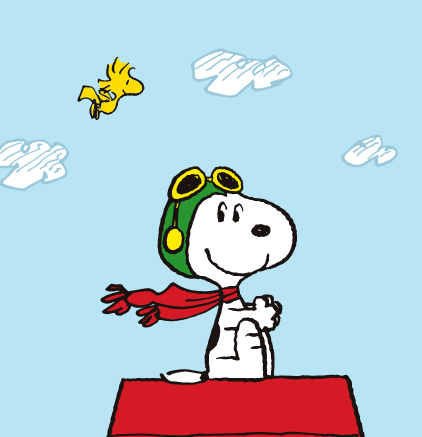 PEANUTS ピーナッツ75周年 記念コイン | オンラインショップ | 泰星