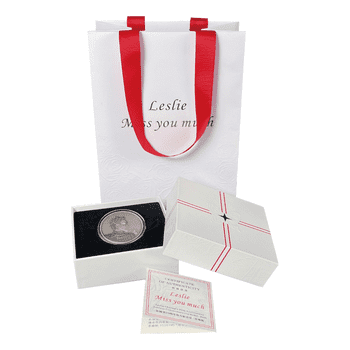 レスリー・チャン没後20周年追悼メダル カラー銀メッキ銅メダル アンティーク仕上げ