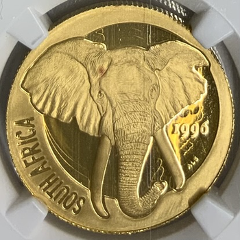 ●一点モノ● 南アフリカ 1996年 KM203 ナトゥラ　象　 1/2ナトゥラ金貨 【NGC：PF69 ULTRA CAMEO 1/2oz】 プルーフ