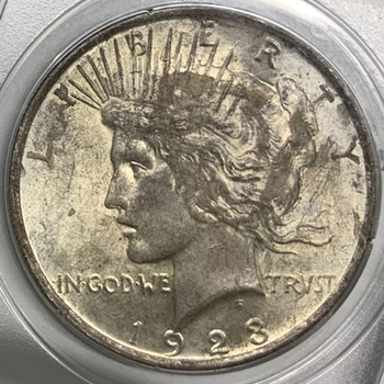 ●一点モノ● アメリカ 1923年KM150 ピースダラー 1ドル銀貨 未使用 【PCGS：MS63】